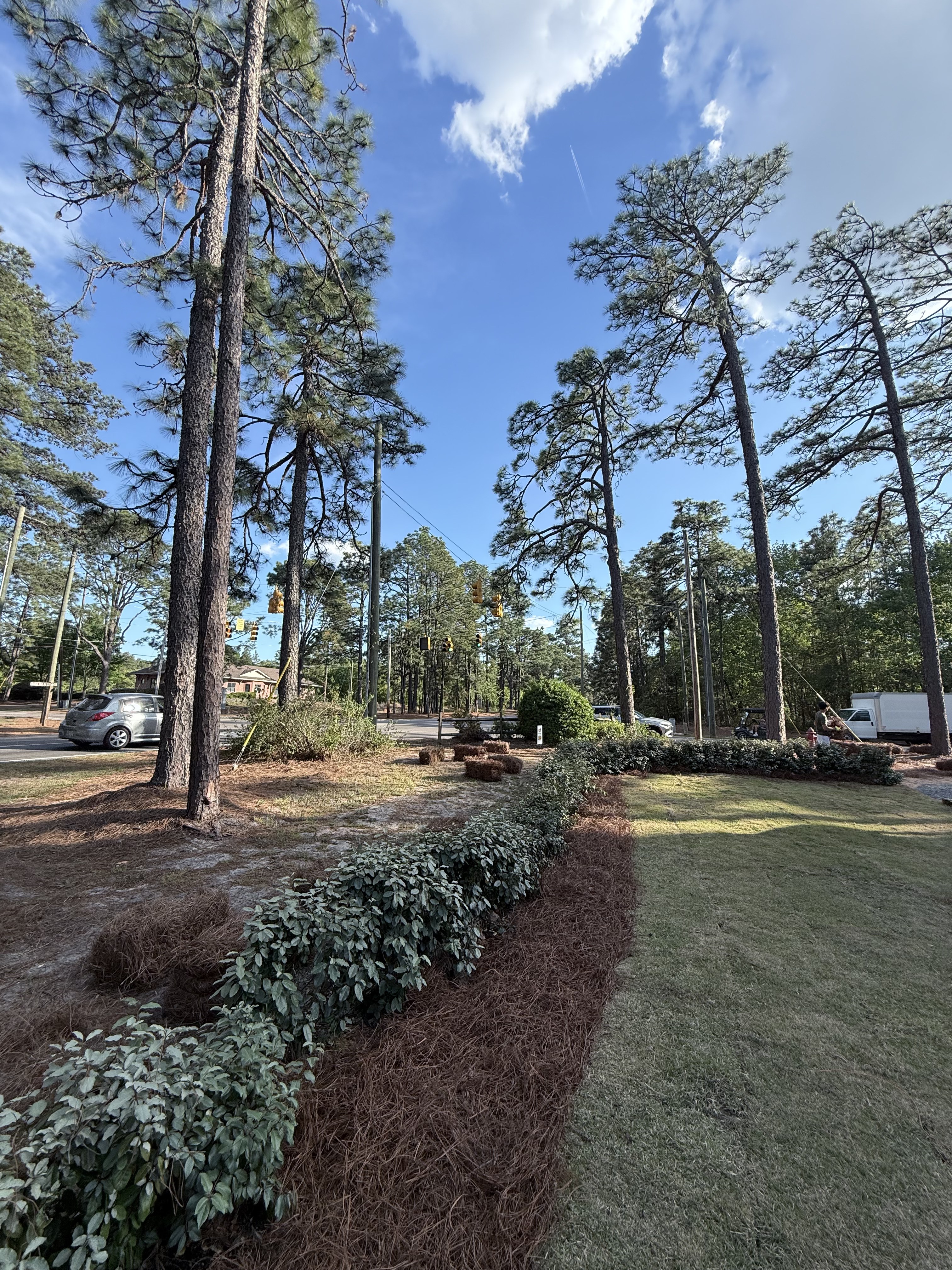 Sod and foundation planting Pinehurst NC