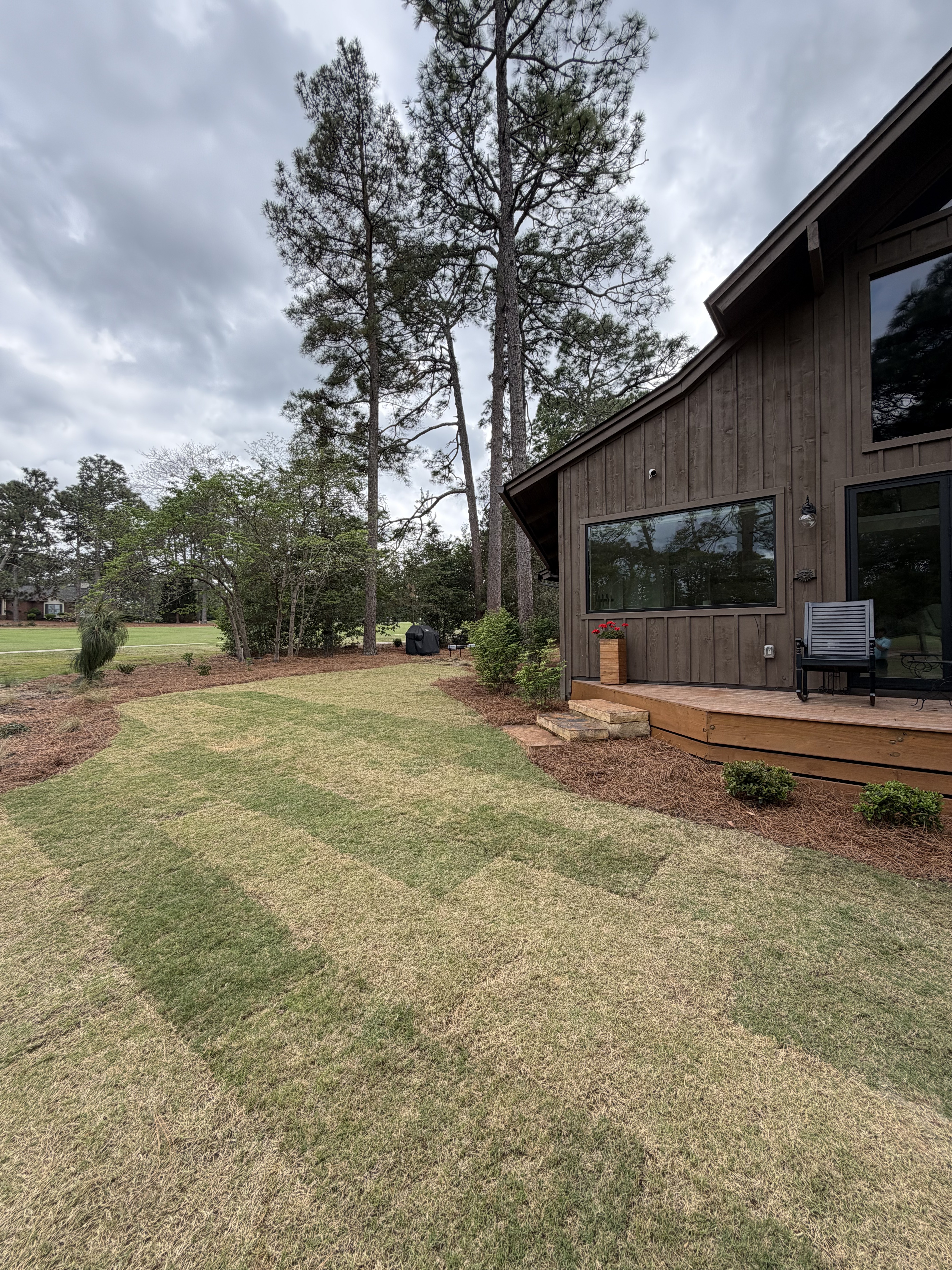 Sod installation and foundation bed landscaping Moore County NC