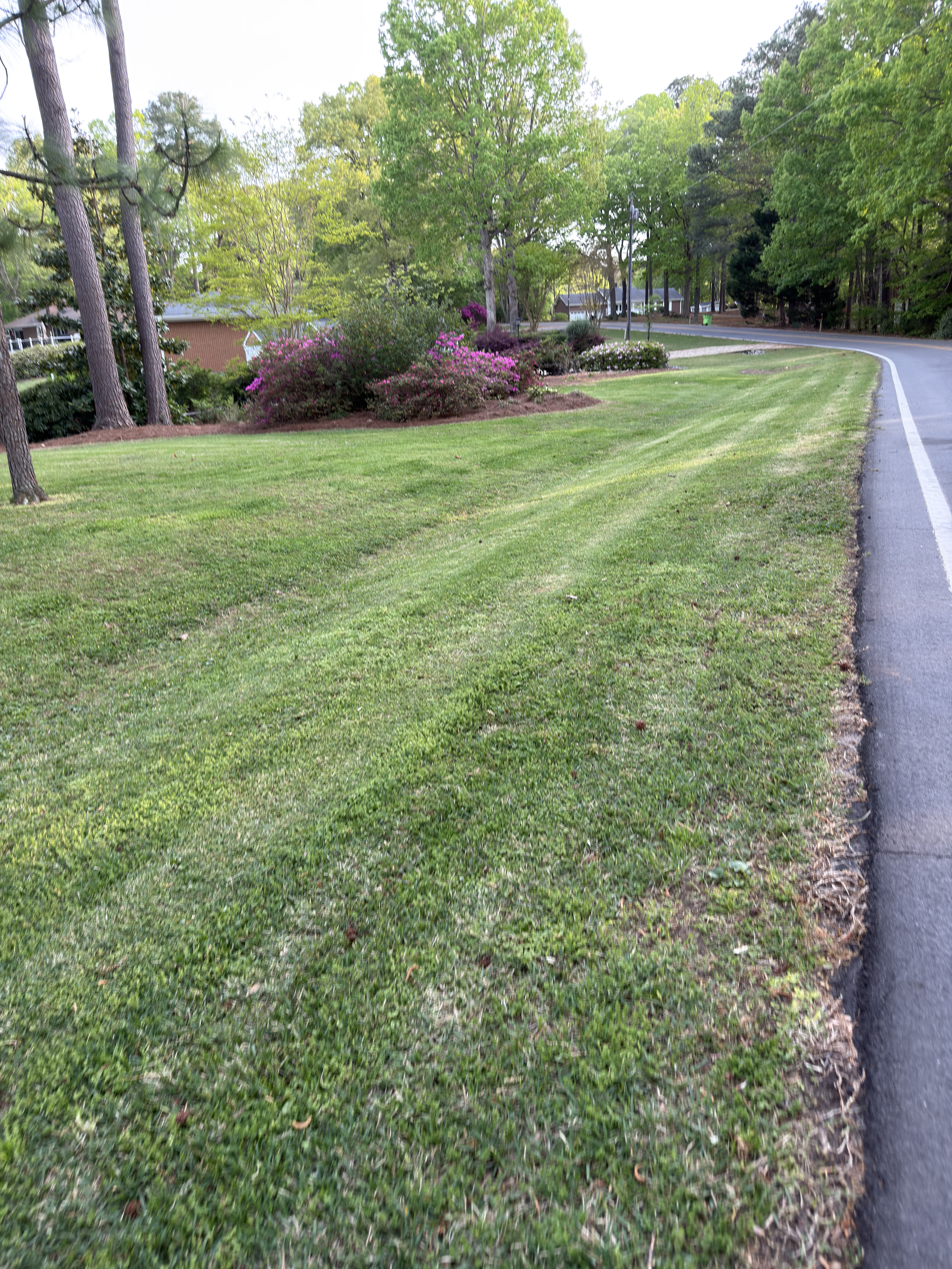 Roadside lawn maintenance edging Moore County NC