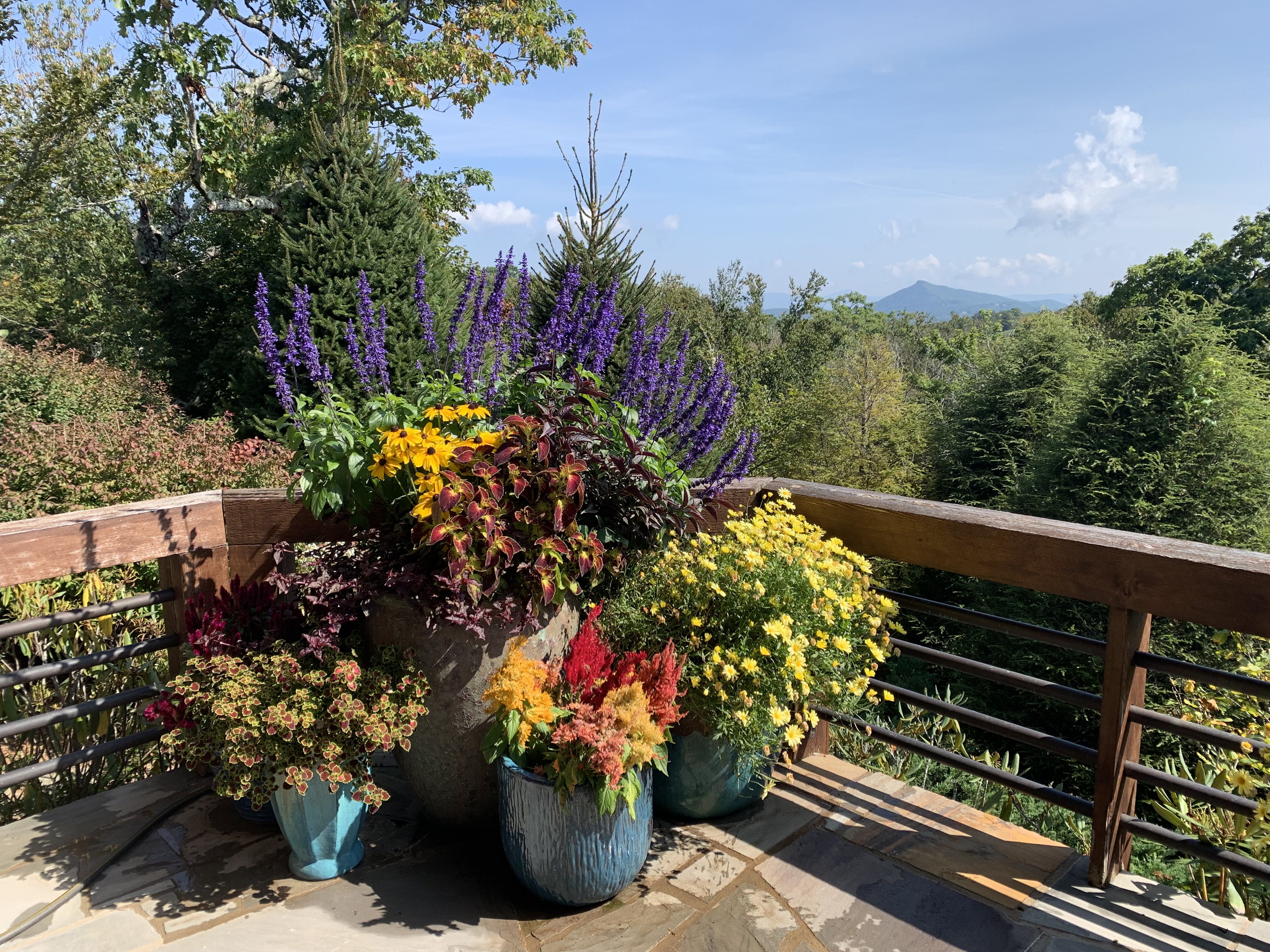 Apartment community landscaping Fayetteville NC