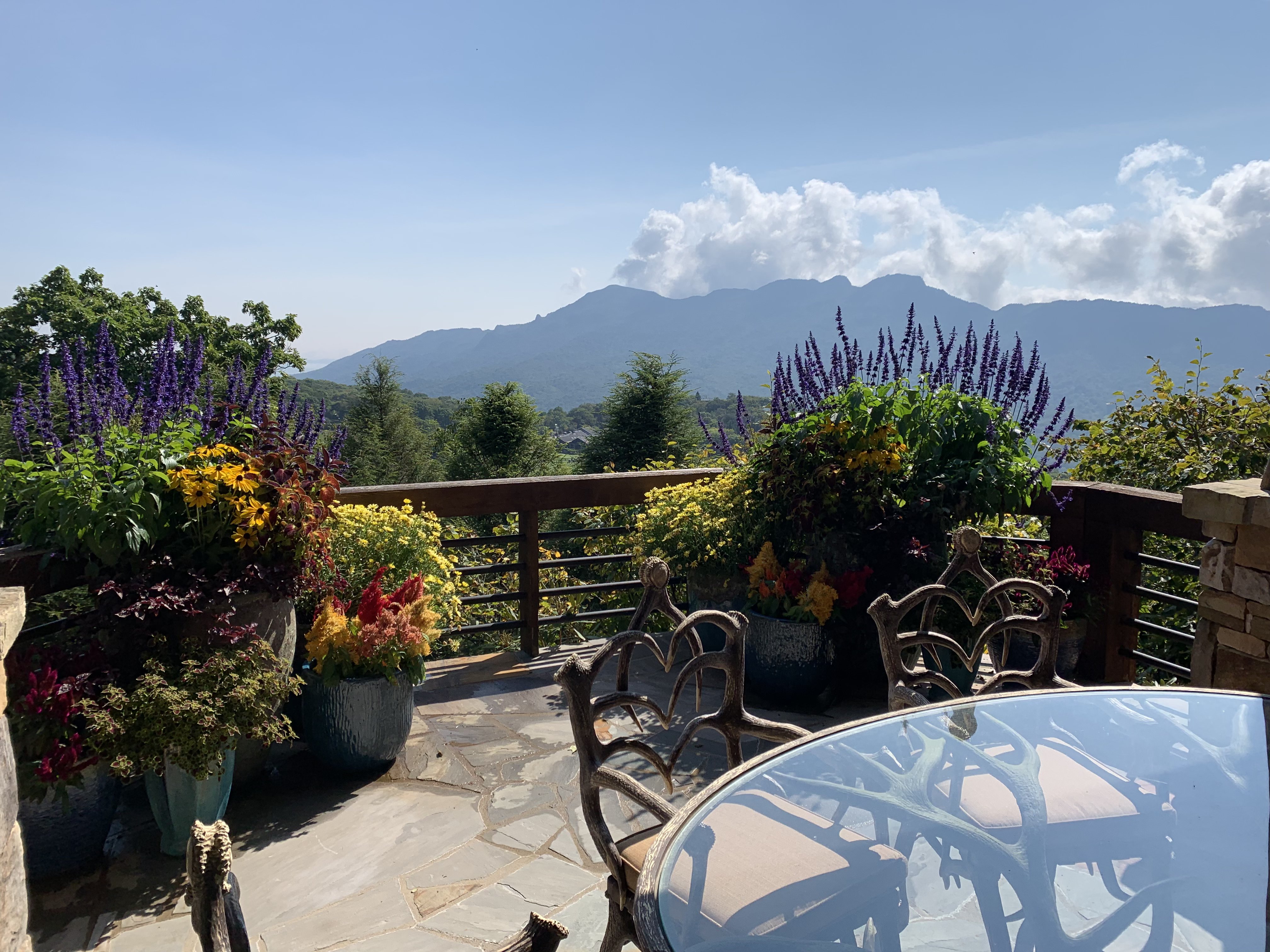 Seasonal color rotation landscaping Pinehurst NC